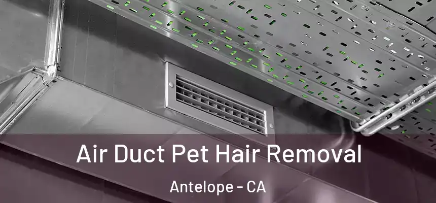 Air Duct Pet Hair Removal Antelope - CA