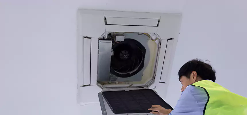 Our Dryer Vent Sanitization Service Services in Antelope, CA