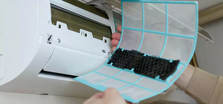 Gentle Ductwork Odor-Control Pet Dander Duct Cleaning in Antelope, CA