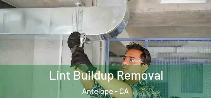  Lint Buildup Removal Antelope - CA