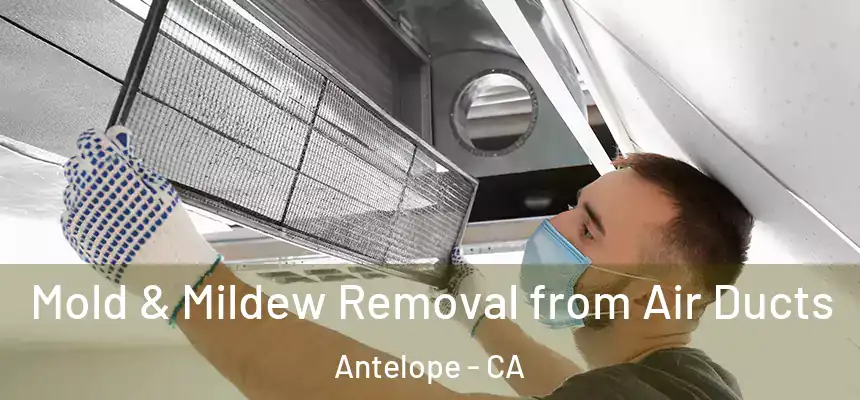  Mold & Mildew Removal from Air Ducts Antelope - CA