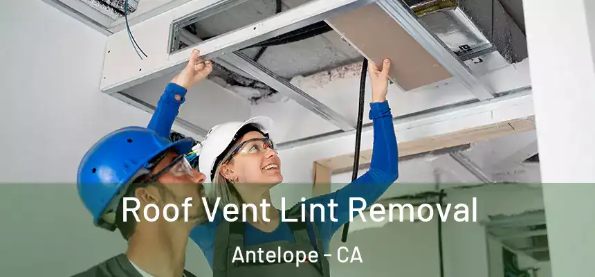 Roof Vent Lint Removal Antelope - CA