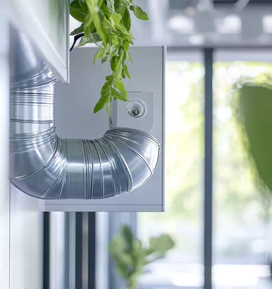 Professional Eco-Safe Dryer Vent Cleaning in Antelope, CA