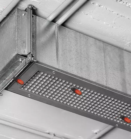 Affordable Insect Removal from Air Ducts in Antelope, CA