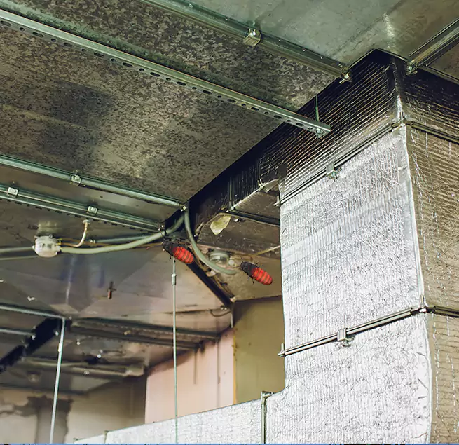 Why Homeowners & Businesses Trust Us in Antelope, CA?