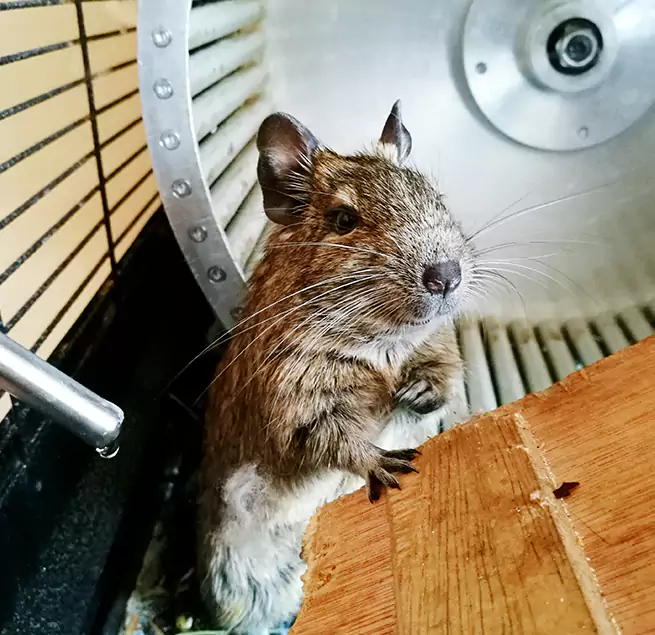 Why Homeowners & Businesses Trust Us Antelope, CA?