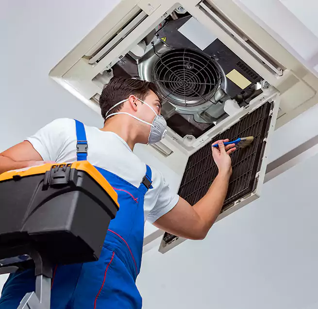 Why Homeowners & Businesses Trust Us in Antelope, CA